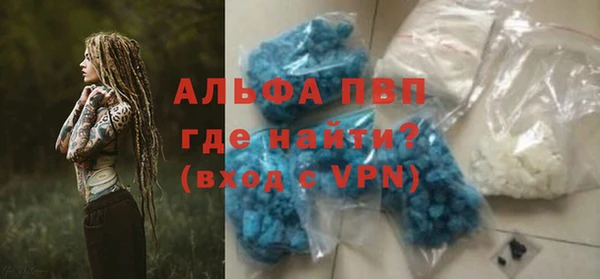 сатива Балахна