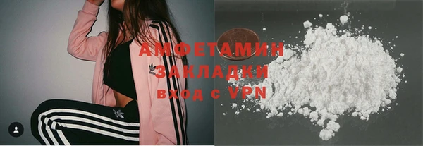 сатива Балахна