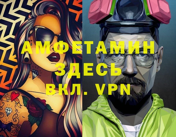 сатива Балахна