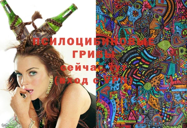 индика Баксан