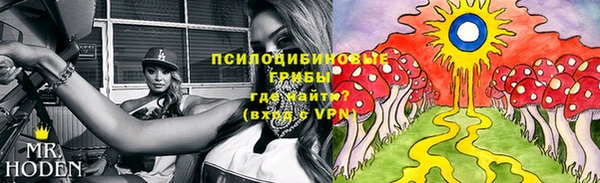 сатива Балахна