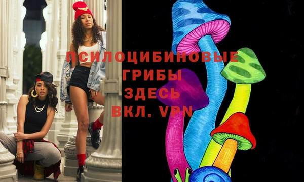сатива Балахна