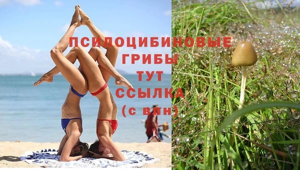 индика Баксан