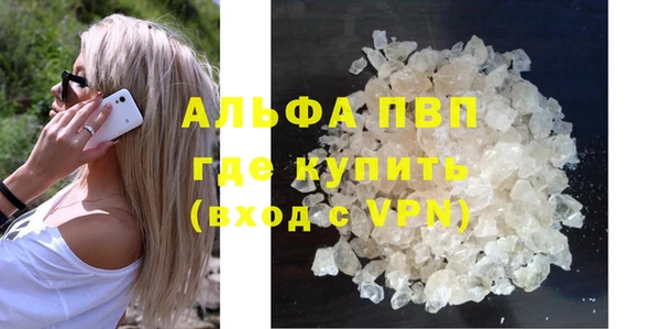 индика Баксан