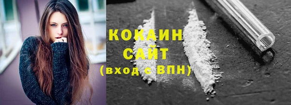 сатива Балахна