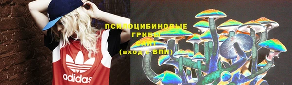 сатива Балахна